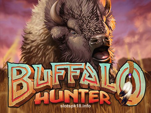 Buffalo Hunter Game Image